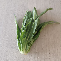 lettuce project thumbnail