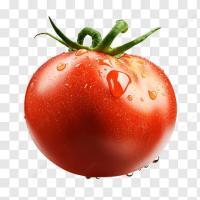 Tomato project thumbnail