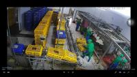 chick crate project thumbnail