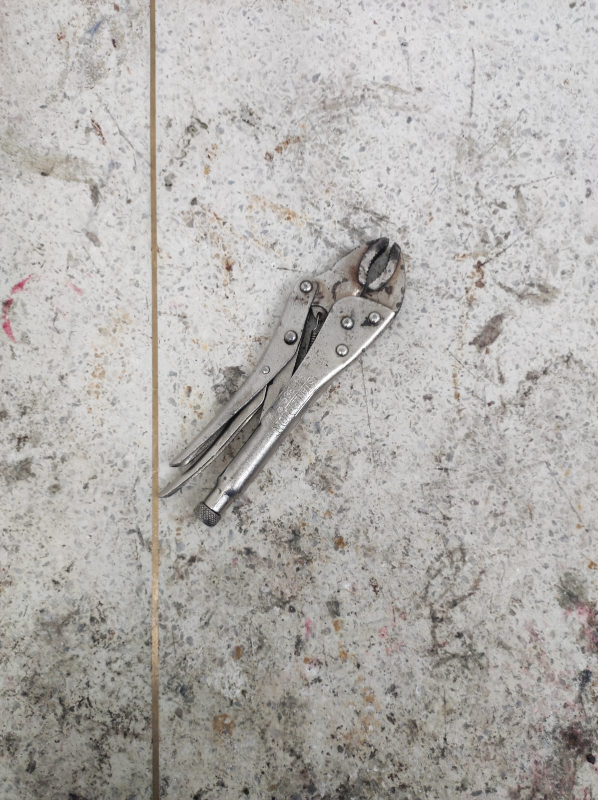 proyecto manto Object Detection Dataset by fundacion universitaria los