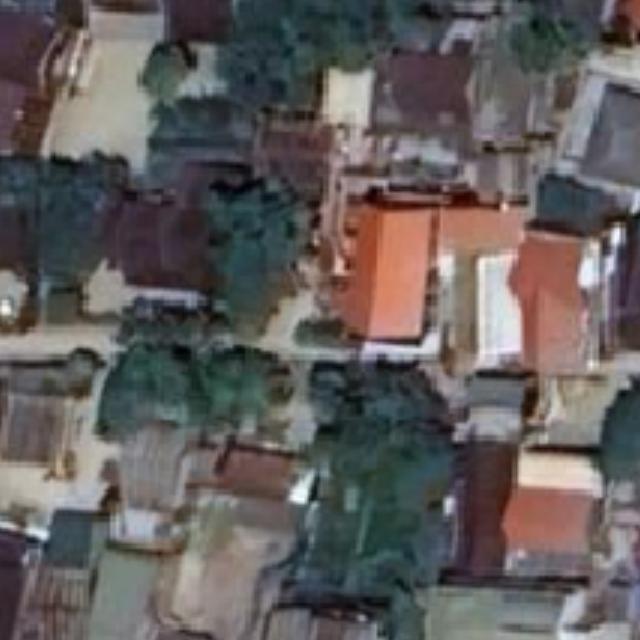 tree-seg-2 Instance Segmentation Dataset by test