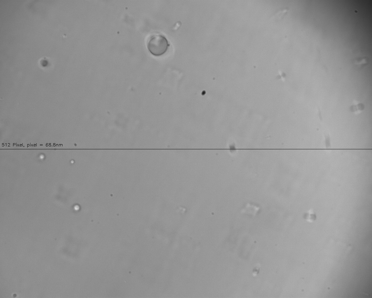 Sedimentation object detection dataset by opticaltweezers