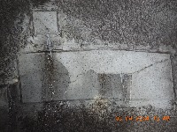 pathology project thumbnail