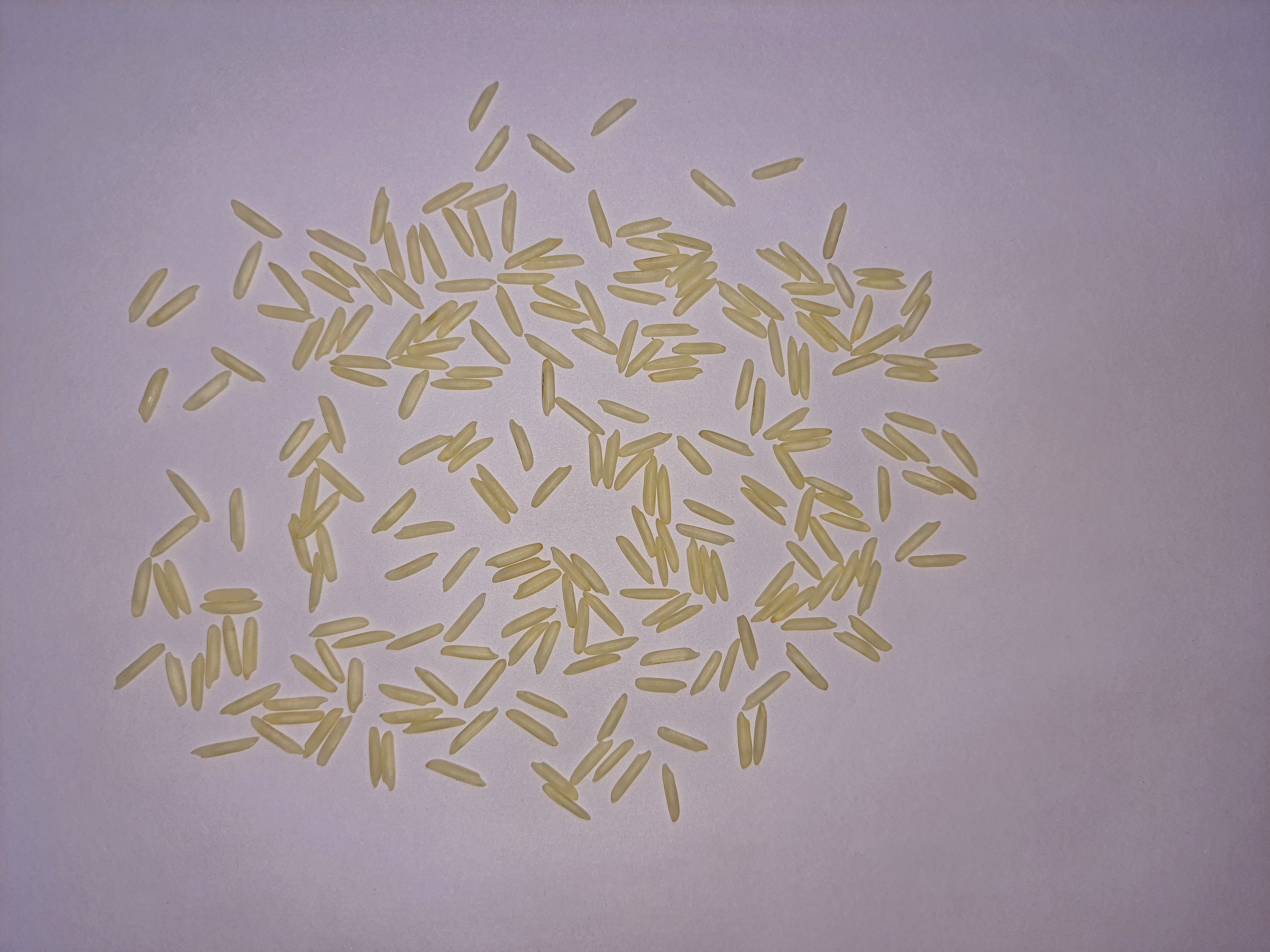 Rice (rice-rwmyq) - Roboflow Universe