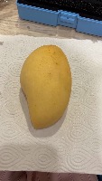 mango detection  project thumbnail
