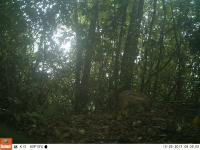 3_wild_boar project thumbnail