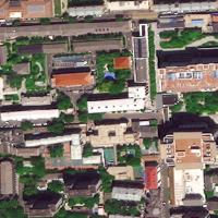 My First Project Instance Segmentation Dataset by yolov8tree