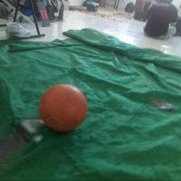 Find ball project thumbnail