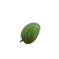Mango Ripeness Detection project thumbnail