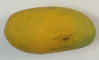 mango project thumbnail