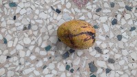 mango project thumbnail