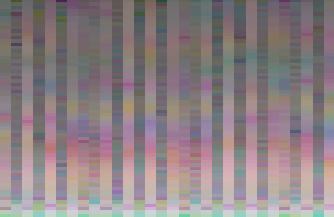 run walk stand Classification Model by bean