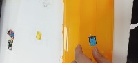 Dataset Image