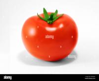 tomato_ripped_detection project thumbnail