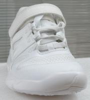 shoe_seg project thumbnail