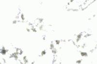 demo2025-train project thumbnail