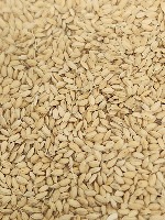 rice project thumbnail