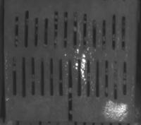 cam2 project thumbnail