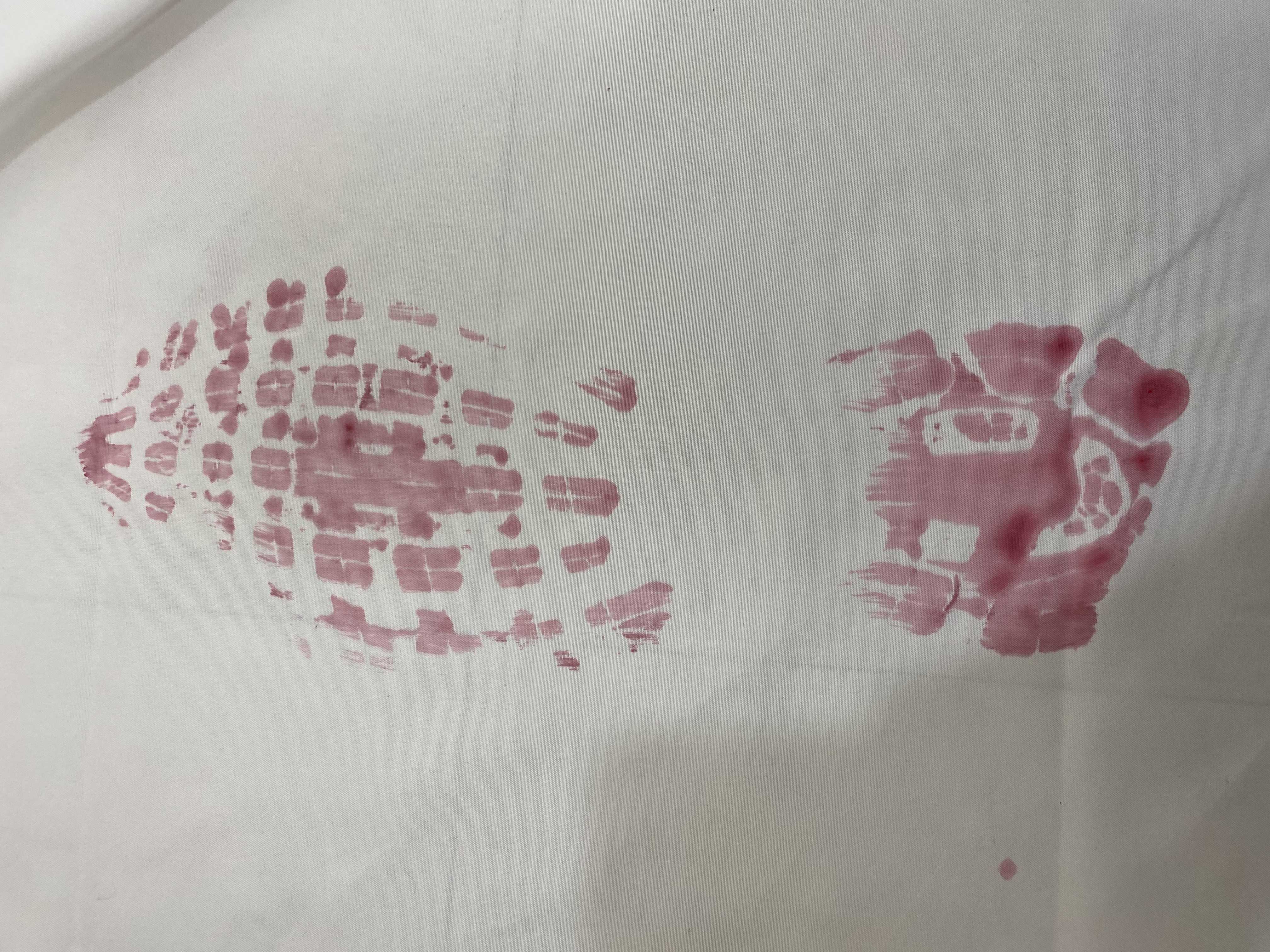 SKKU_Footprint_123 Object Detection Dataset by SKKUDigitalForensic