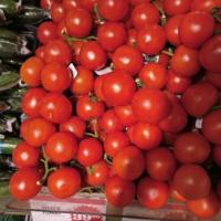 Grocery Detection project thumbnail