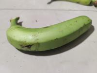 bananatest project thumbnail