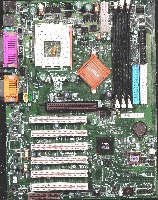 Dataset Image