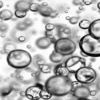 Test Bubble Object Detection Dataset by Lavanya