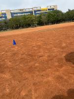 Blue Cones project thumbnail