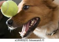 Tennis Ball Detection  project thumbnail