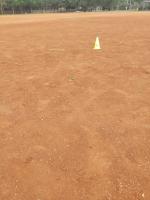 Green Cones project thumbnail