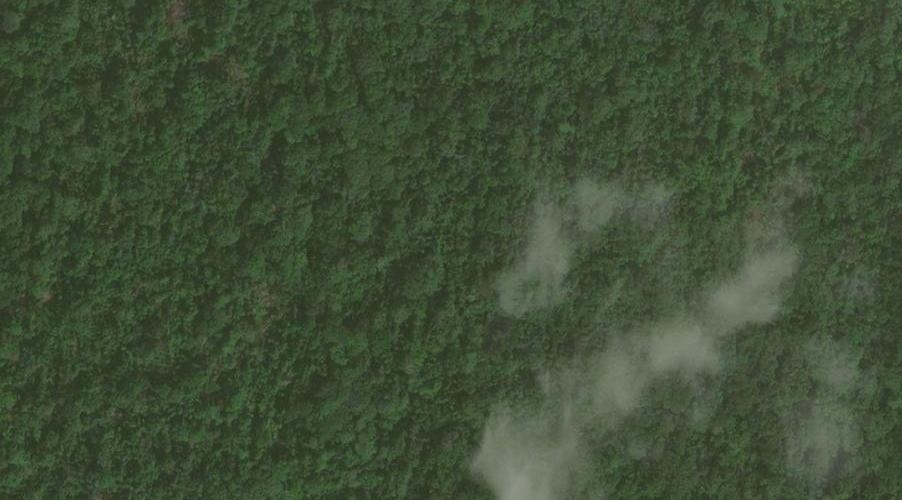 Palm oil Classification Dataset by Alten Innovation Lab