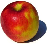 Apples project thumbnail