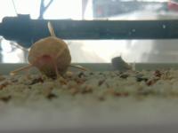 MyfishTracker2 project thumbnail