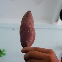 1000anh project thumbnail