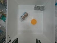 iue_new_garbage_67-88 project thumbnail