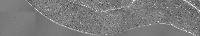 Bigstomata conversion project thumbnail