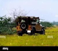 INFOSYS 1 project thumbnail