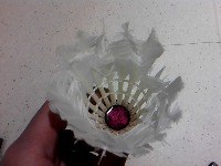 badminton project thumbnail