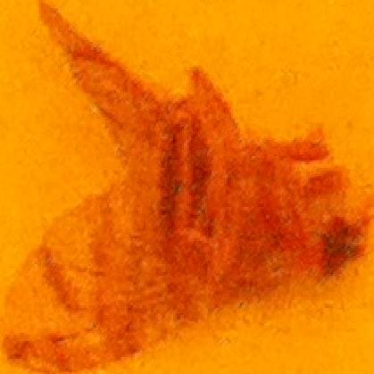 lalal Classification Dataset by Gabriela Vega