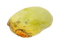 rotten mango project thumbnail