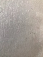Egg Detection project thumbnail