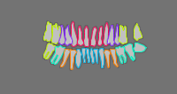 Annotation Visualization