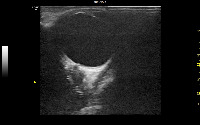 First_50_Images project thumbnail