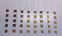 test paper project thumbnail