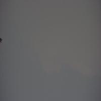 My First Project project thumbnail