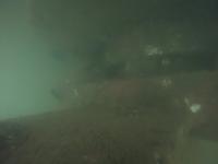 ocean dataset project thumbnail