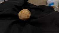 mushroom project thumbnail