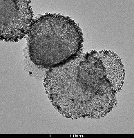 Transfer Learning on TEM Images project thumbnail