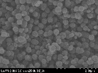 SEM_MPNC project thumbnail