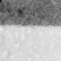 STEM Microscopy - Together project thumbnail